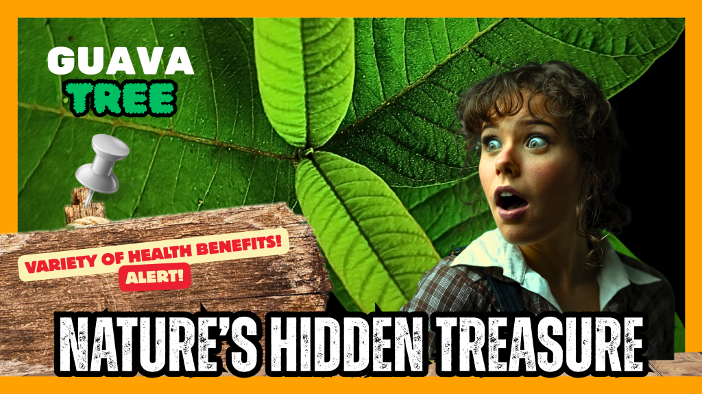 Health Benefits of the Guava Tree: Nature’s Hidden Treasure